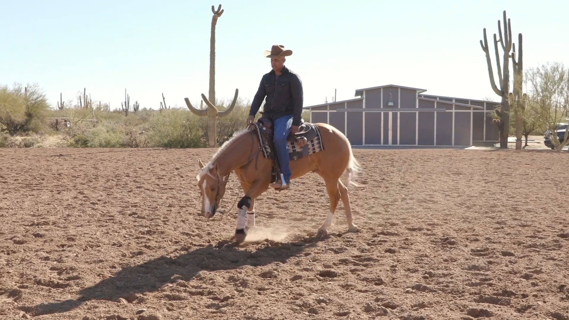 Working A Horse Coming Off An Injury Matt MIlls