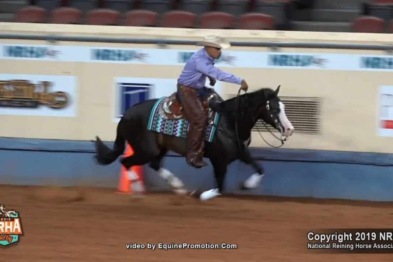 WATCH ” CARL ” IN ACTION!!  THIS HORSE HAS SO MUCH STYLE!!!